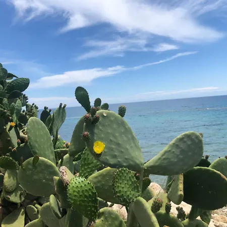 Lägenhet Santa Barbara *